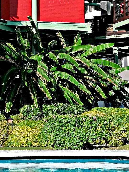 Gartenanlage Limak Lara Deluxe Hotel & Resort