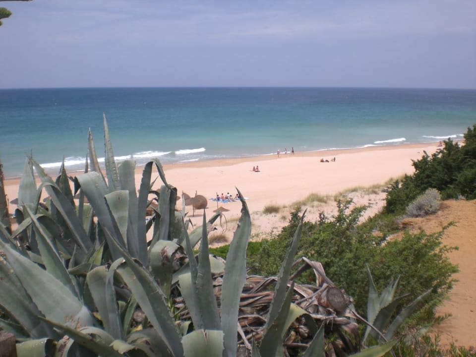 Strand Ilunion Sancti Petri