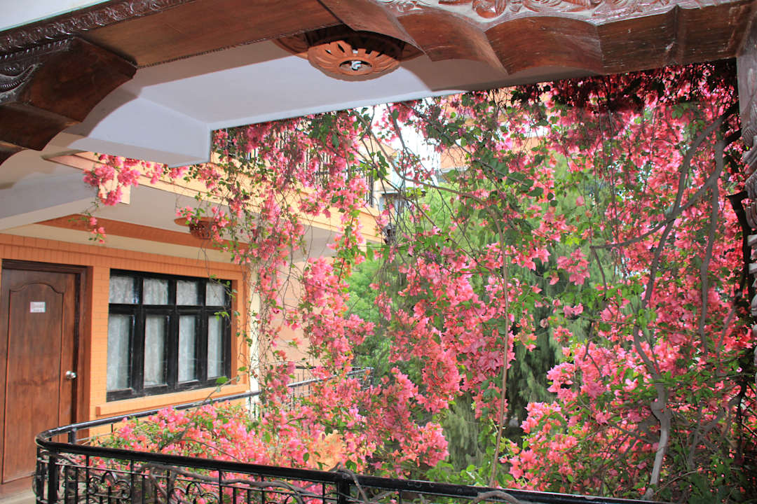 Blick auf die Zimmer Guesthouse International