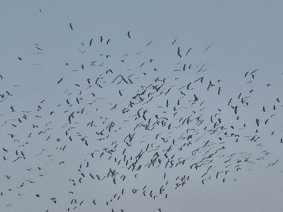 Ausblick Arabia Azur Resort