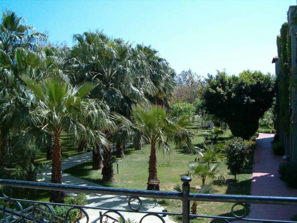 Palmengarten Hotel Gardenia Beach