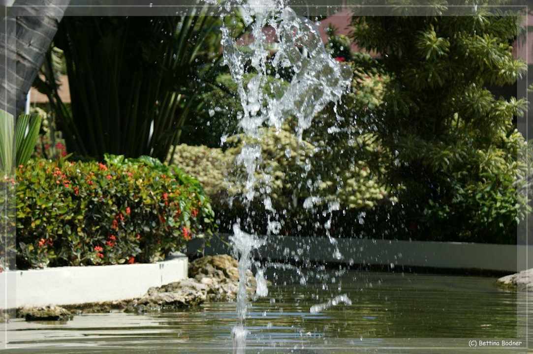 Wasserspiele Hotel Grand Palladium Palace Resort, Spa & Casino