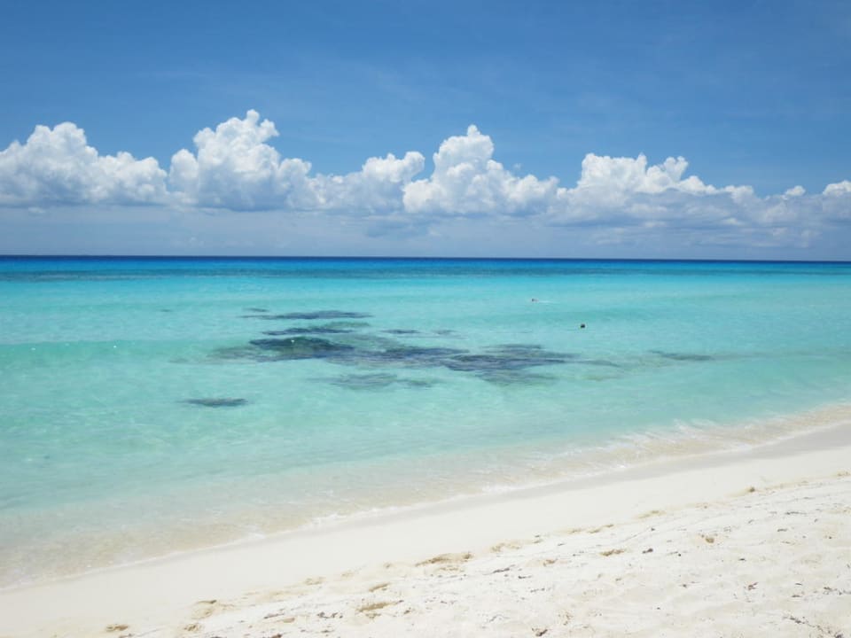 Tolle Farben Hotel Riu Tequila