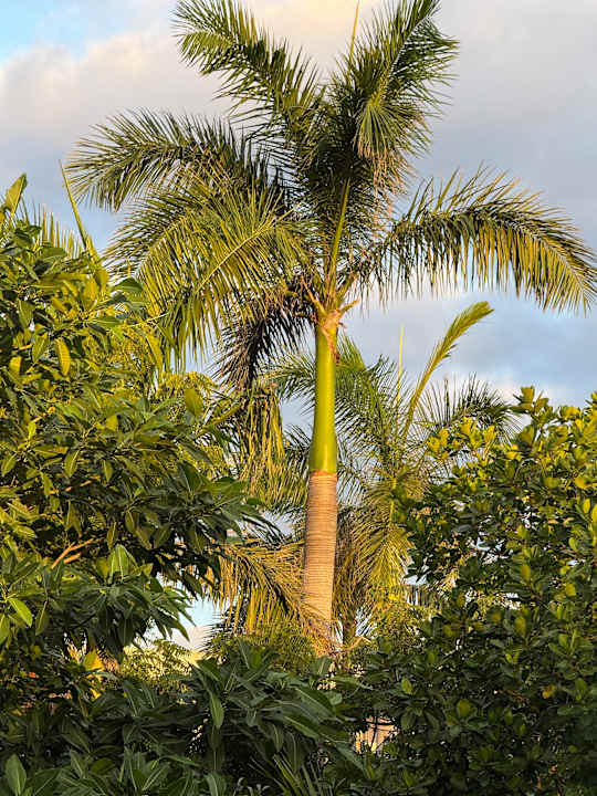 Ausblick Secrets Akumal Riviera Maya - Adults only