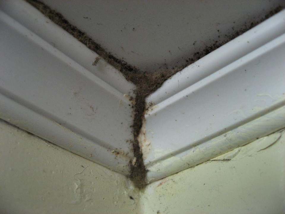 Unsere Junio-Suite im Haus Nr. 11 (unten links) Grand Palladium Select Bávaro Resort & Spa