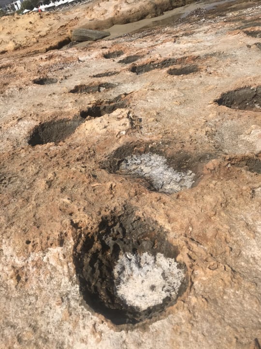 Strand allsun Hotel Carolina Mare