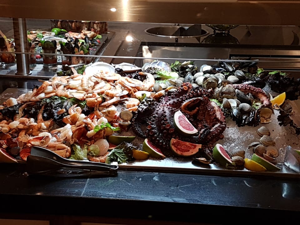 Gastro Ocean Coral & Turquesa by H10