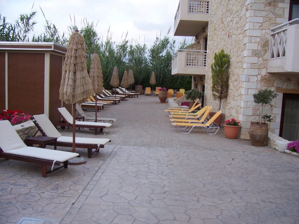 Teil des Innenbereichs vom Pool aus gesehen Cactus Royal