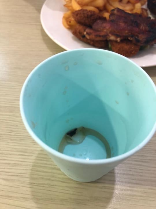 Gastro Anavadia Hotel