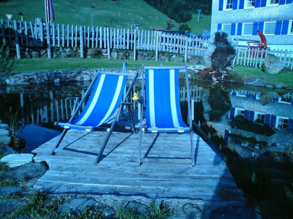 Der Schwimmteich - herrlich! Gasthof Schwabenhof