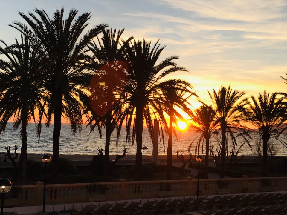 Ausblick allsun Hotel Pil-lari Playa