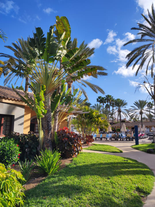 Gartenanlage Suites & Villas by Dunas