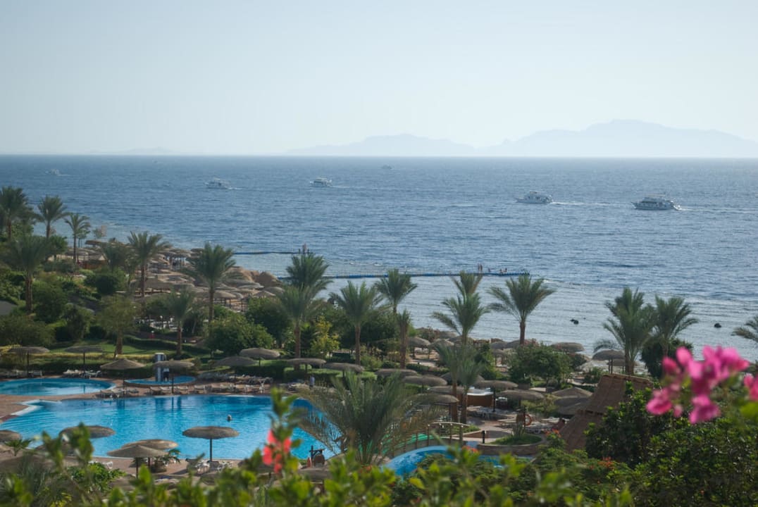 Widok z restauracji Pickalbatros Royal Grand Resort - Sharm El Sheikh