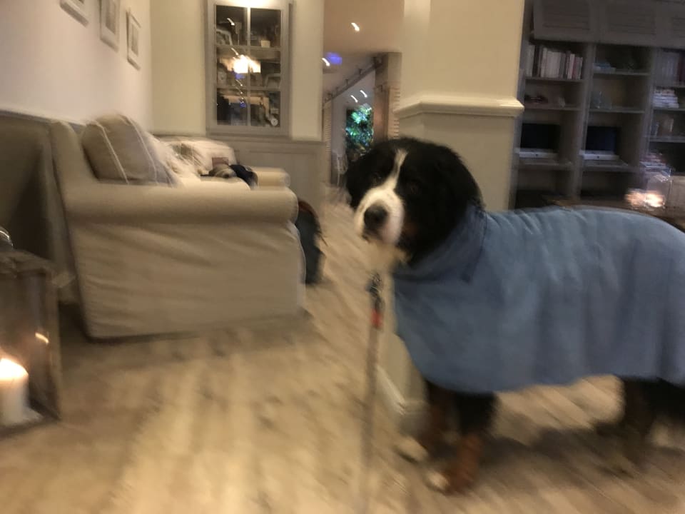 Lobby Beach Motel St. Peter-Ording