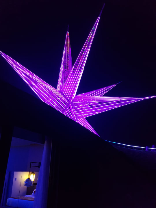 Sonstiges Royal Seginus