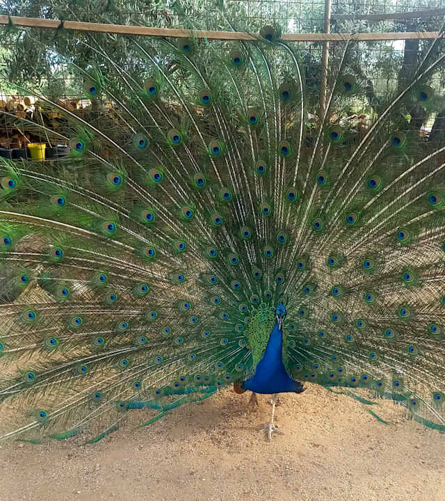 Sonstiges Hotel Residence Santa Chiara