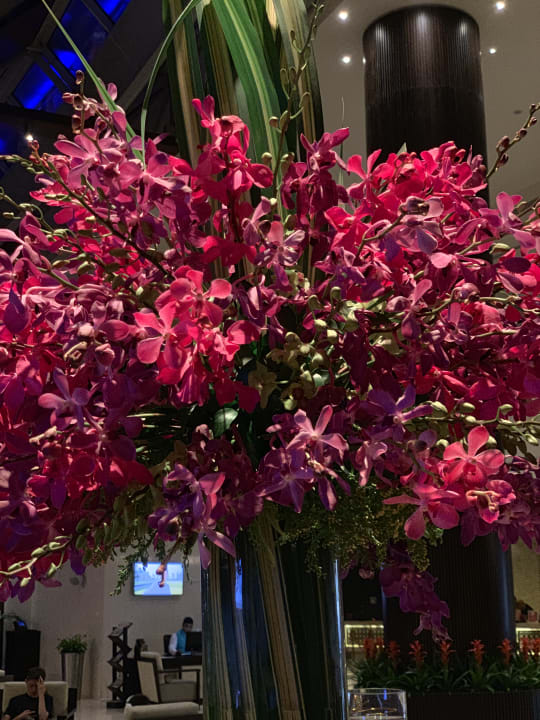 Sonstiges Rixos The Palm Hotel & Suites