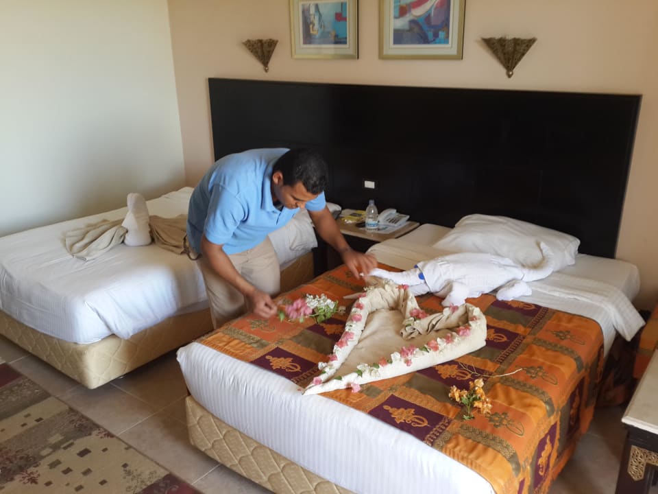 Каждый день новые фигуры Pickalbatros Palace Resort