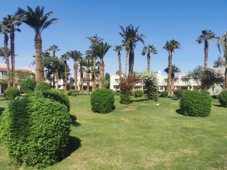 Gartenanlage Lotus Bay Beach Resort