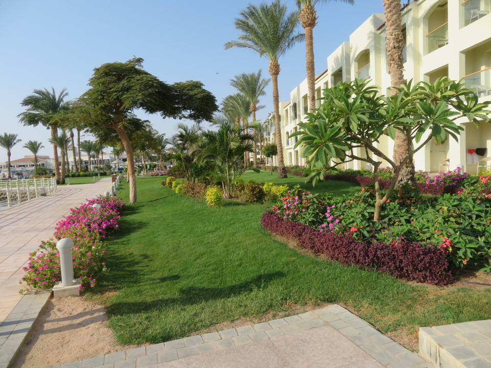 Außenansicht Pickalbatros Dana Beach Resort - Hurghada