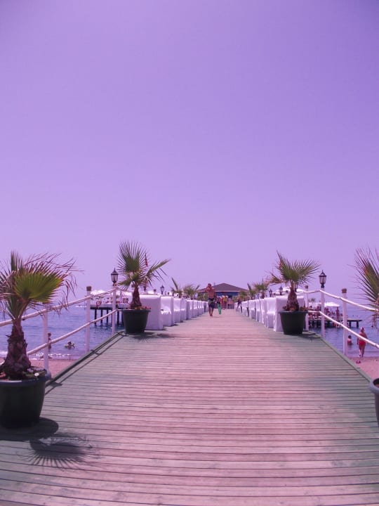 Steg Hotel Delphin Imperial