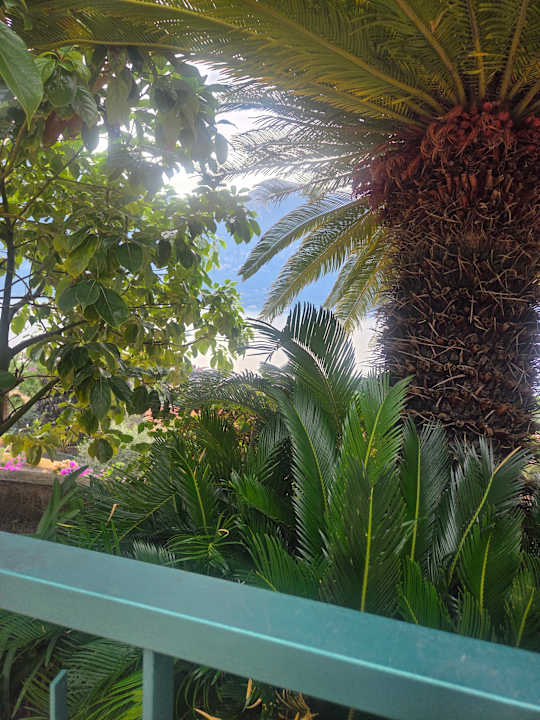 Ausblick Hotel San Pietro
