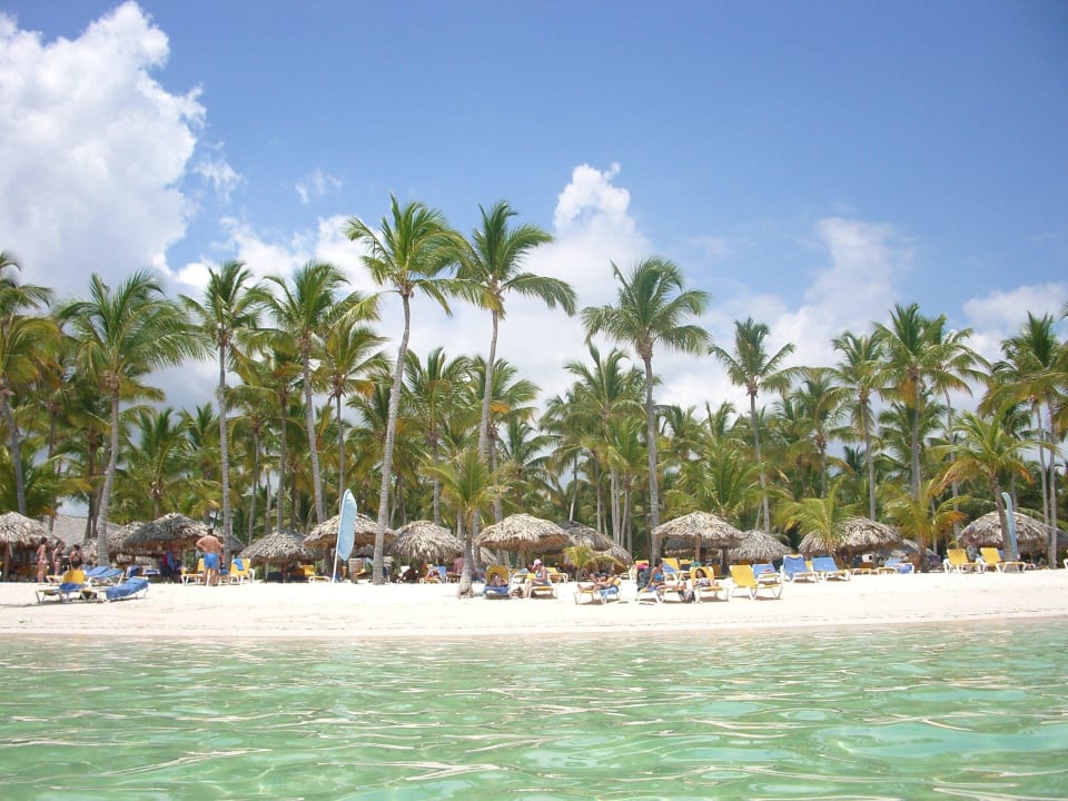 Aussicht vom Meer auf Strand Catalonia Punta Cana - All Inclusive