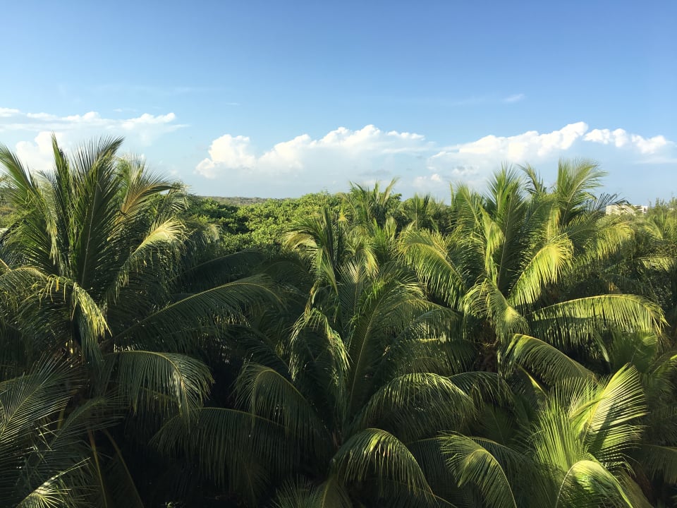 Ausblick Akumal Bay Beach & Wellness Resort