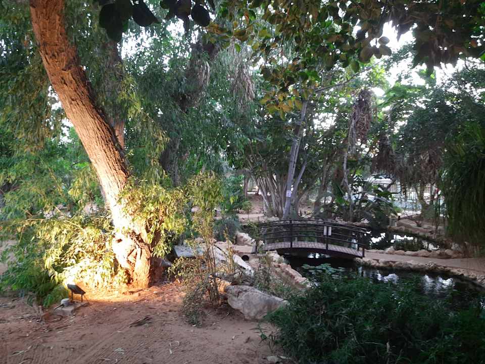 Gartenanlage Hotel Grecian Bay
