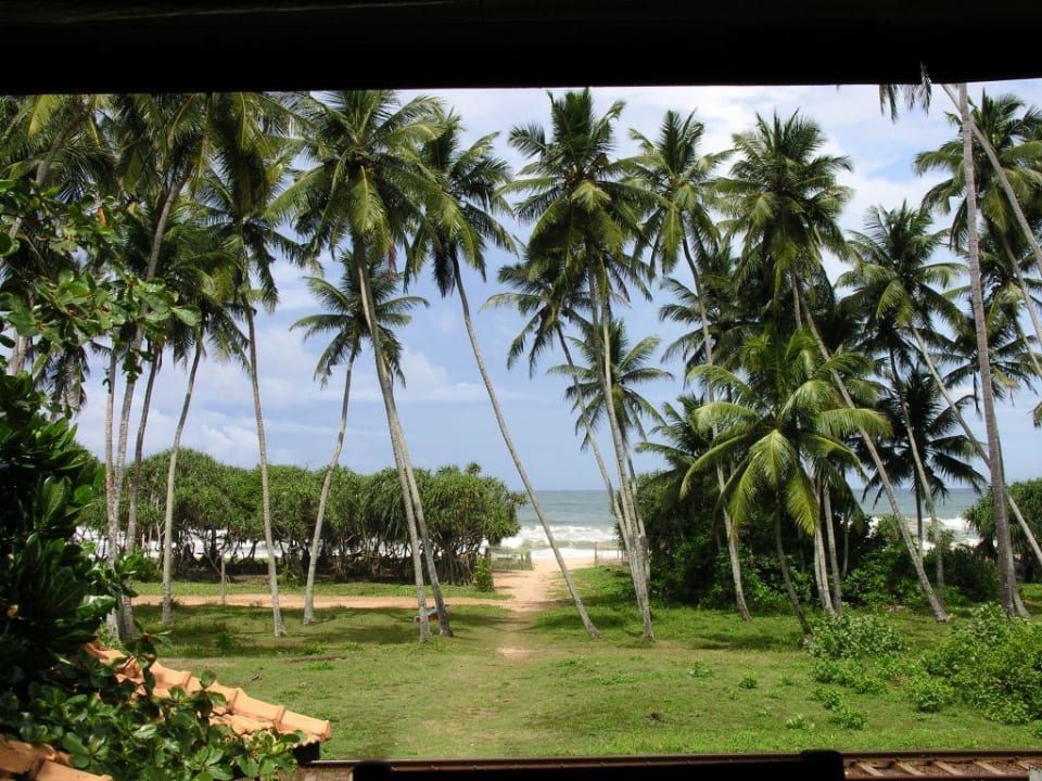 Frühstückspanorama Wunderbar Beach Club Hotel