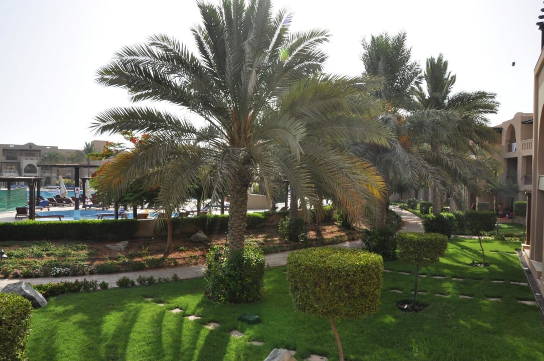 Blick zum Pool Miramar Al Aqah Beach Resort