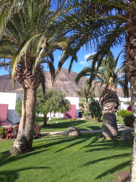Gartenanlage allsun App.-Hotel Esquinzo Beach