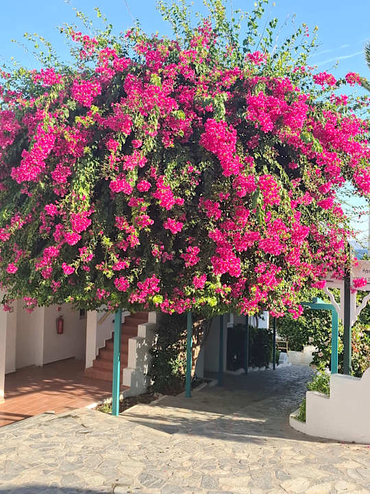 Gartenanlage Mastichari Bay Hotel