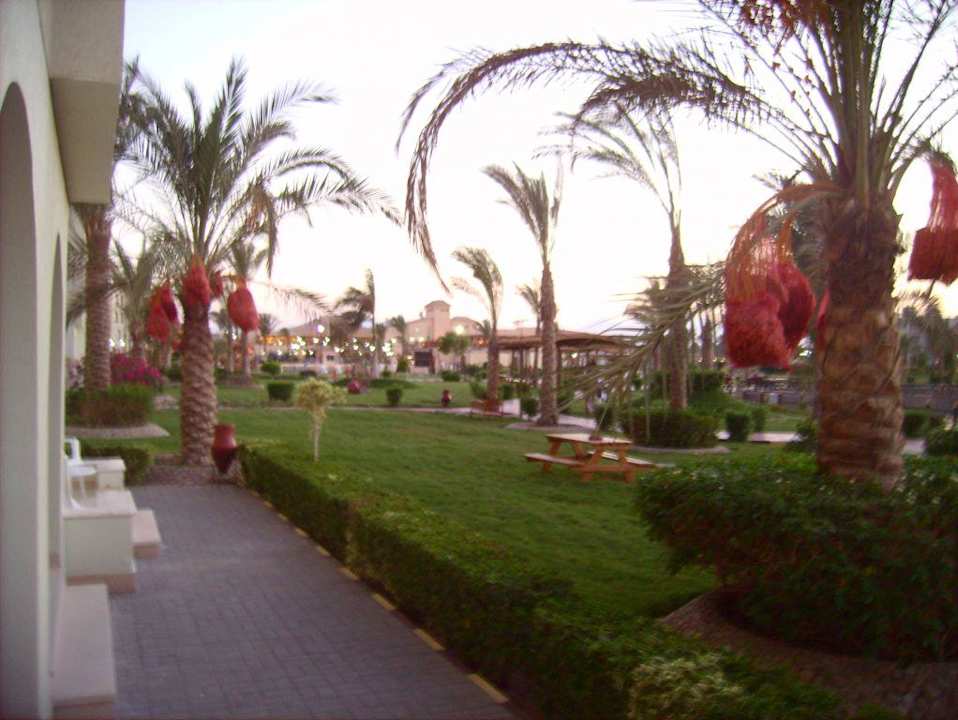 Ausblick Pickalbatros Dana Beach Resort - Hurghada