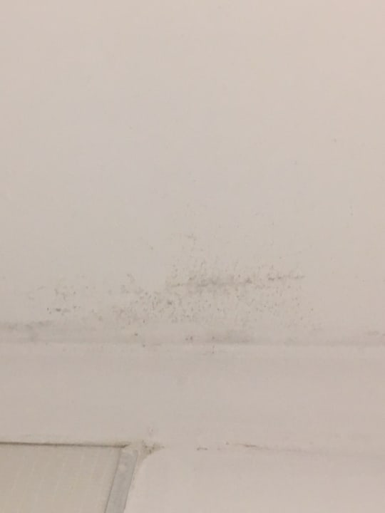 Zimmer Kamelya Aishen Club