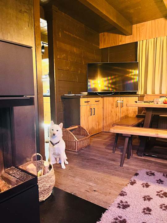 Zimmer Hüttendorf Schlögelberger