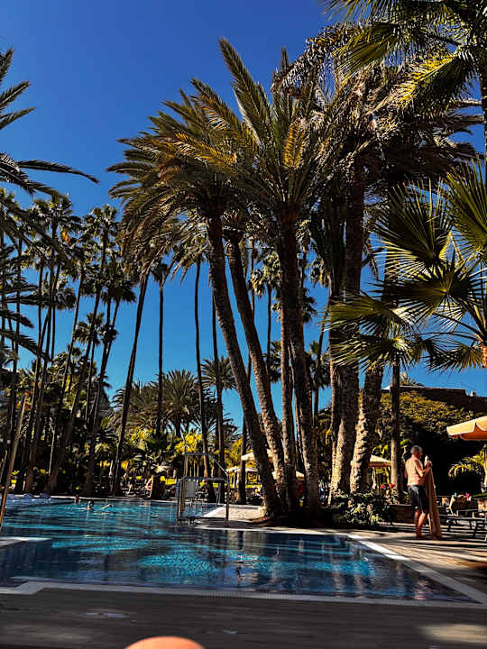 Pool Hotel Riu Palace Oasis