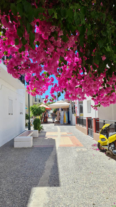 Gartenanlage Mastichari Bay Hotel