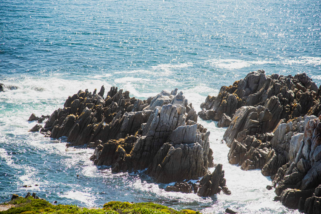 Ausblick Whalesong Lodge