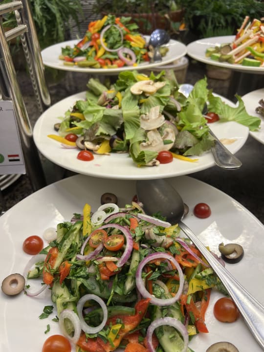 Gastro Steigenberger Resort Ras Soma