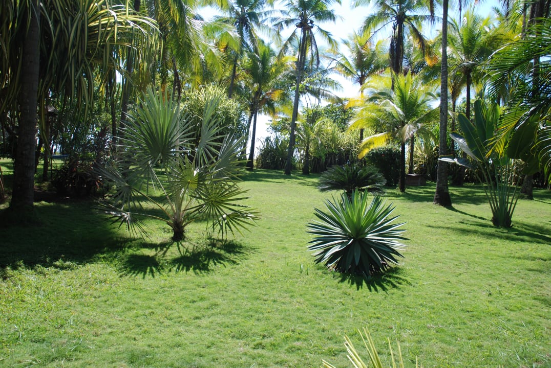 Gartenanlage Hotel Beso del Viento