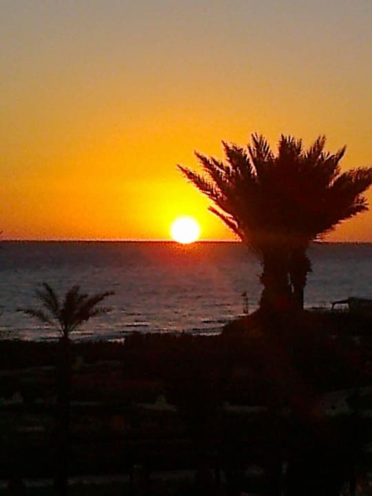 Sonnenaufgang am strand Vincci Safira Palms