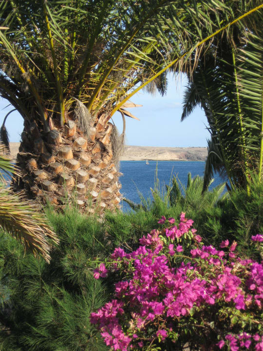 Aussenanlage mit Blick auf die Papagayostrände Hotel Mirador Papagayo by LIVVO