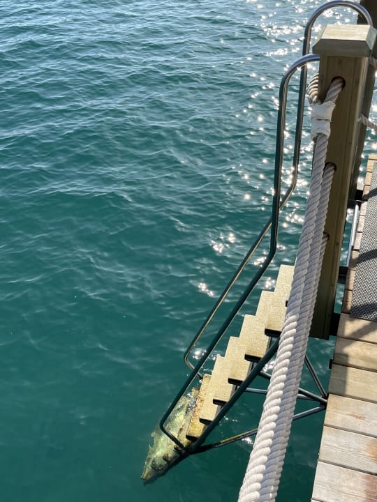 Strand Arum Barut Collection