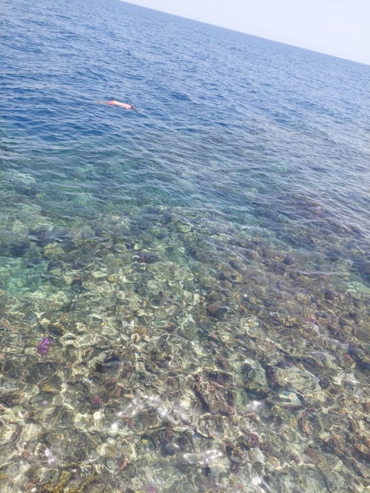 Strand Pickalbatros Sands Hotel - Port Ghalib