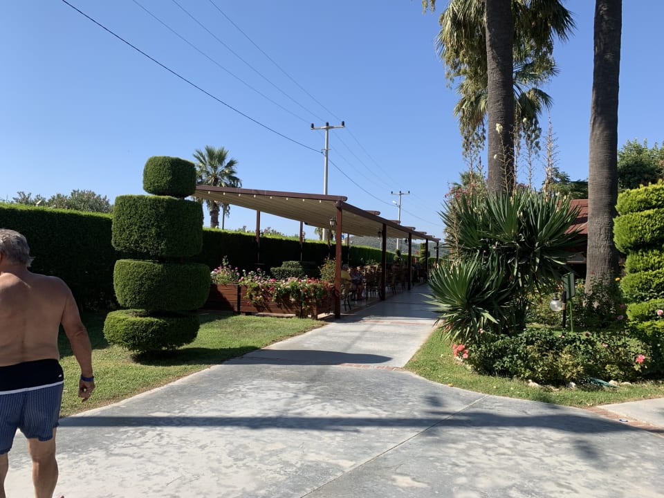 Gartenanlage Kustur Club Holiday Village