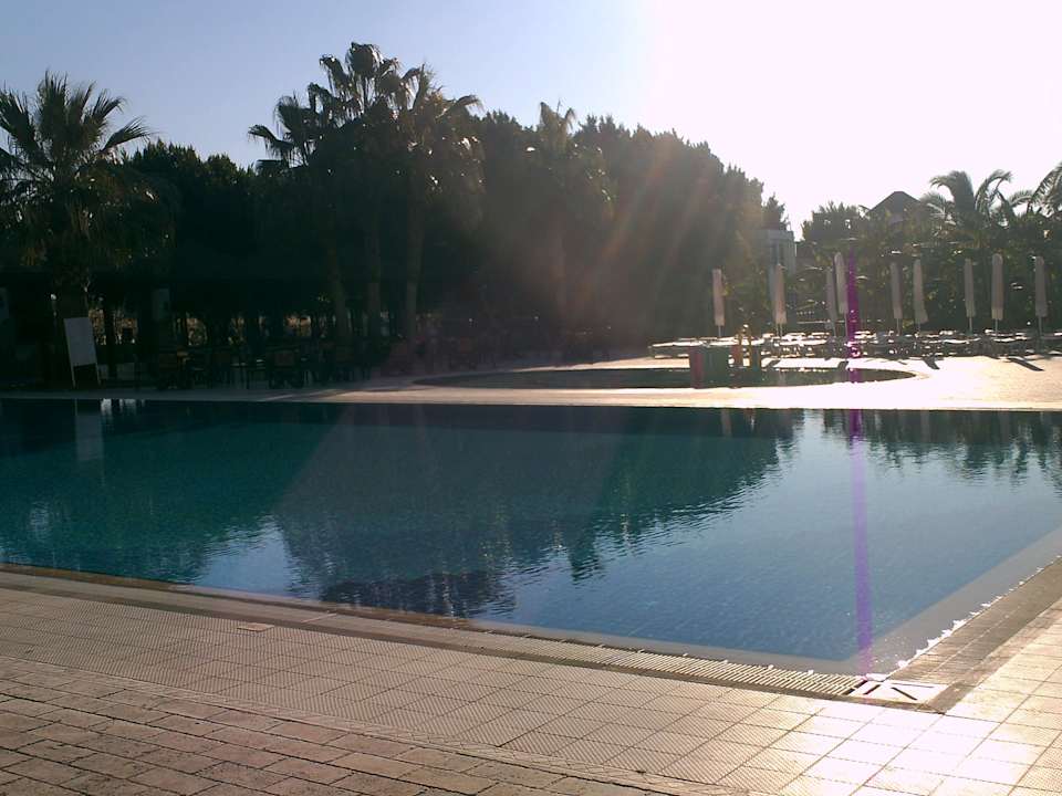Morgenruhe Washington Resort & SPA