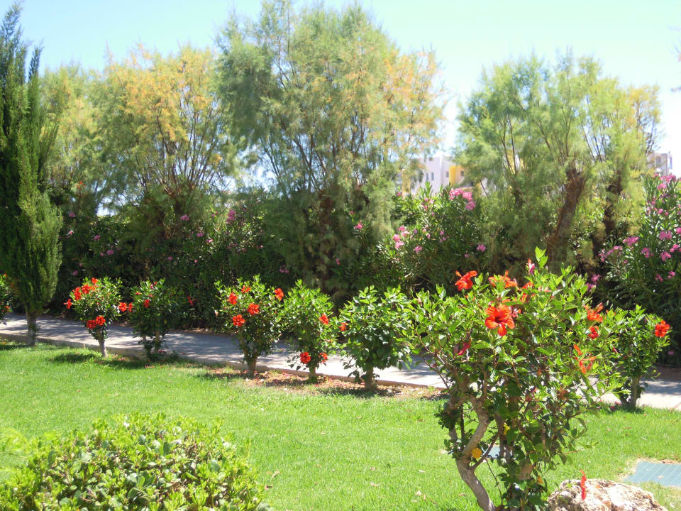 Gartenanlage Phãea Cretan Malia