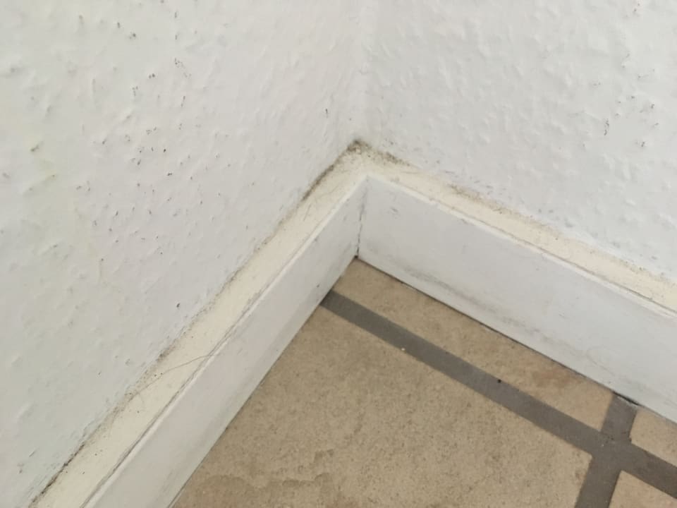 Zimmer Landal Grønhøj Strand Resort