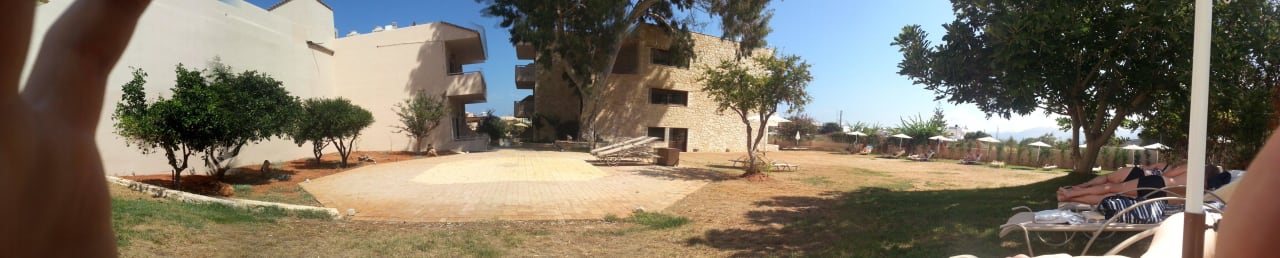 Liegewiese Panorama Cactus Royal